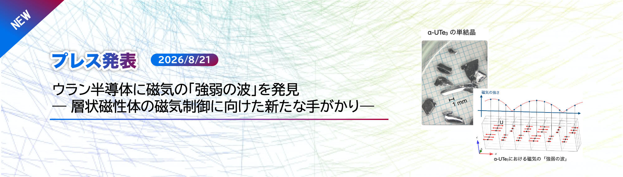 Press release by Dr. KANEKO