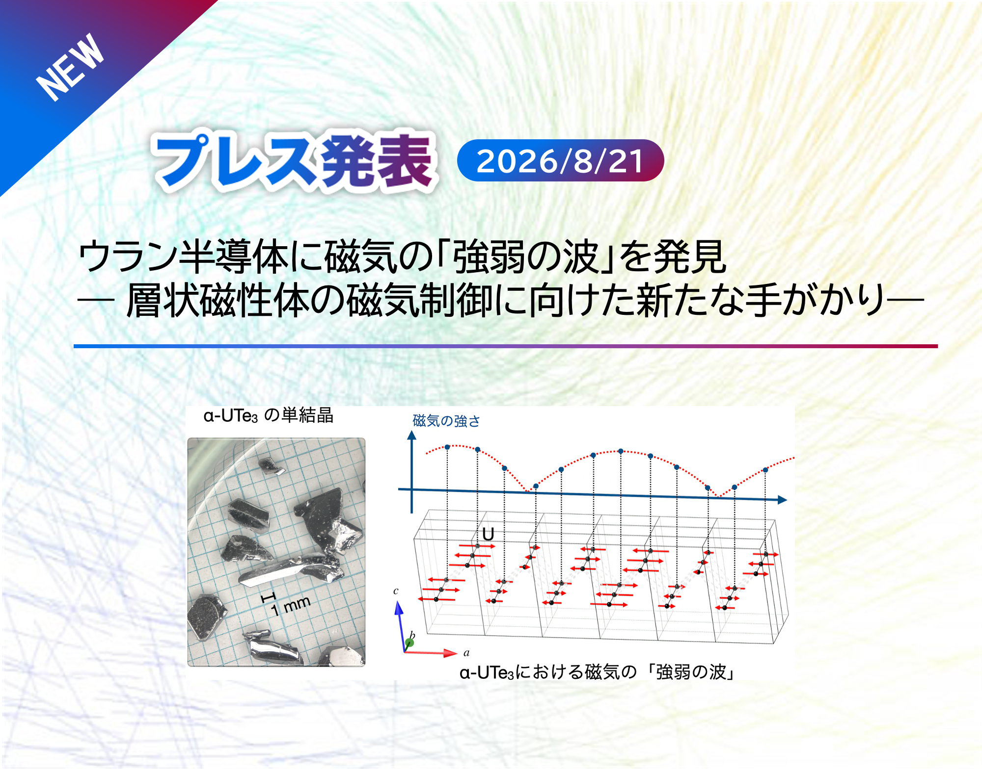  Press release by Dr. KANEKO