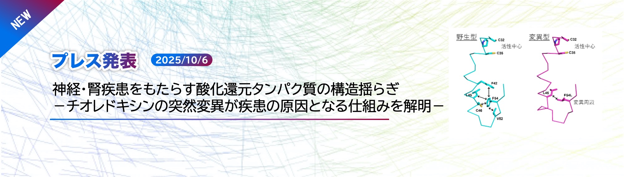  Press release by Dr. Nakagawa