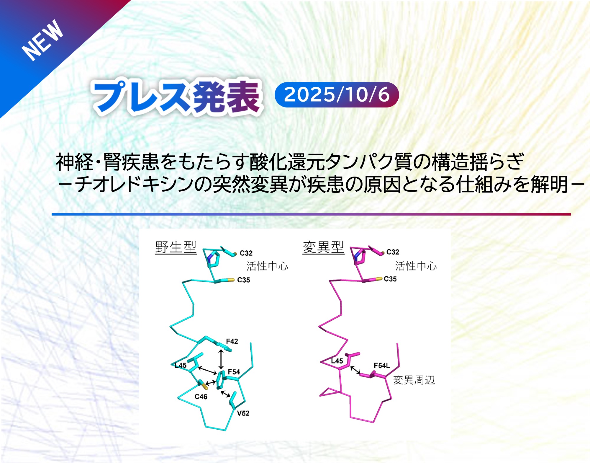  Press release by Dr. Nakagawa