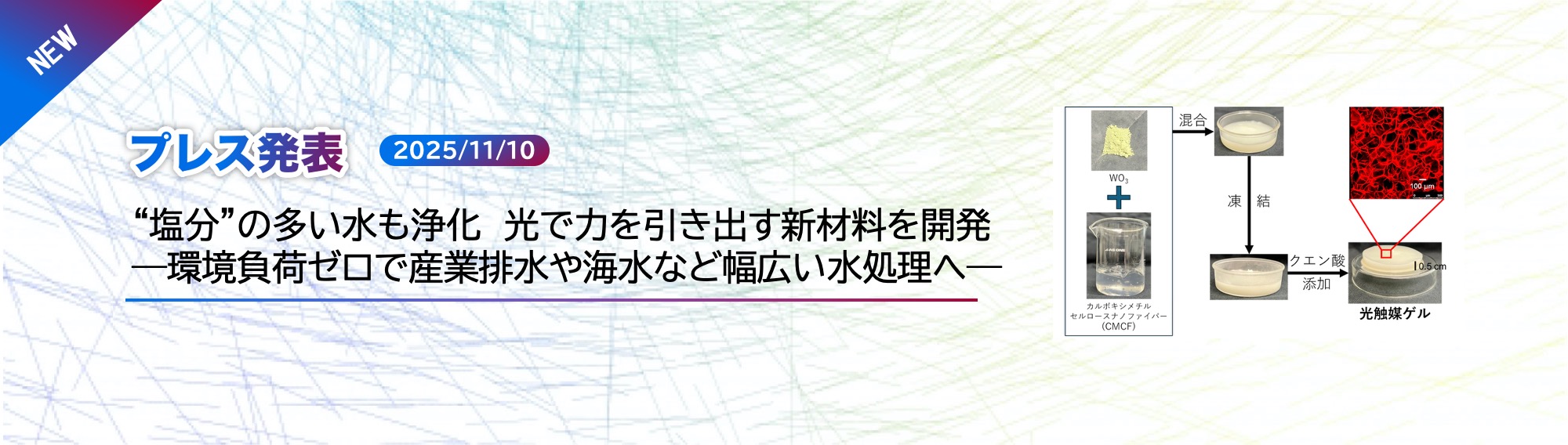  Press release by Dr. Sugita