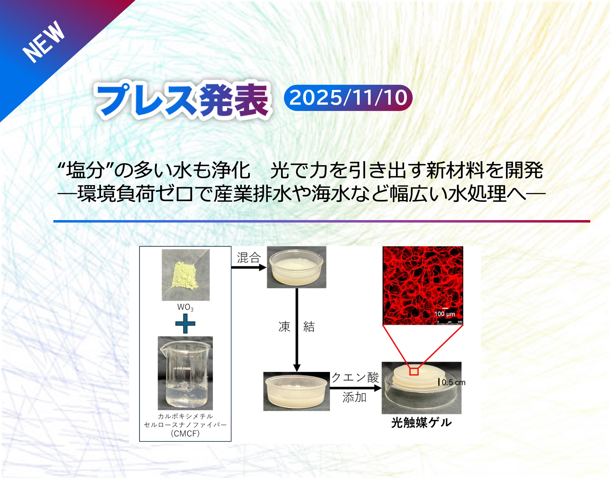  Press release by Dr. Nakagawa